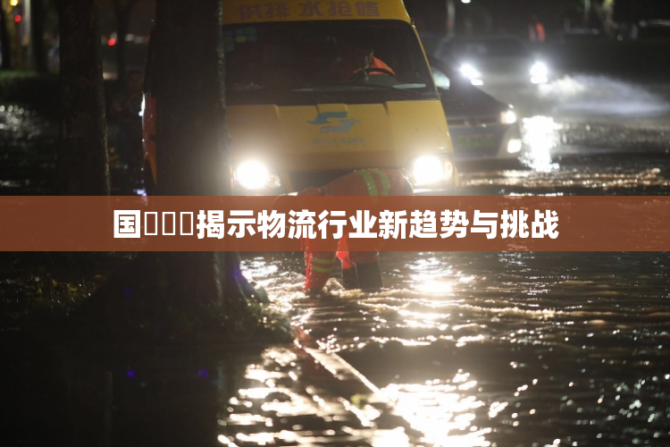 国產梱綁揭示物流行业新趋势与挑战