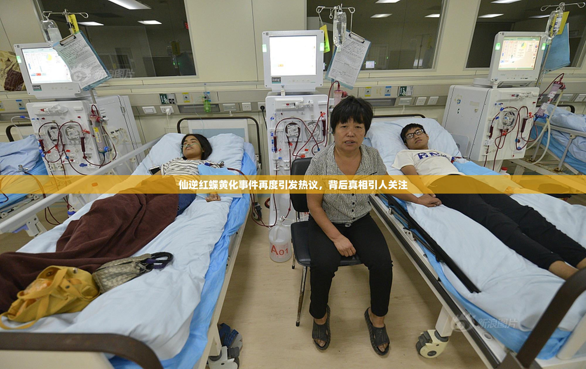 仙逆红蝶黄化事件再度引发热议，背后真相引人关注