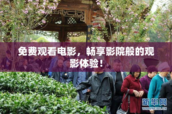 免费观看电影，畅享影院般的观影体验！