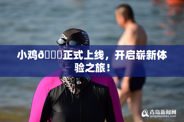 小鸡🐔正式上线，开启崭新体验之旅！