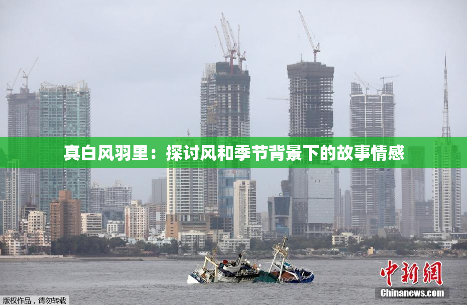 真白风羽里：探讨风和季节背景下的故事情感