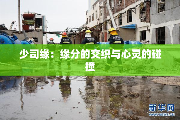 少司缘：缘分的交织与心灵的碰撞
