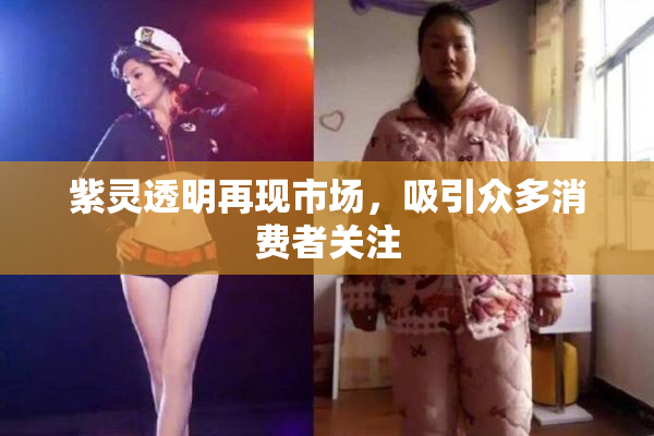 紫灵透明再现市场，吸引众多消费者关注