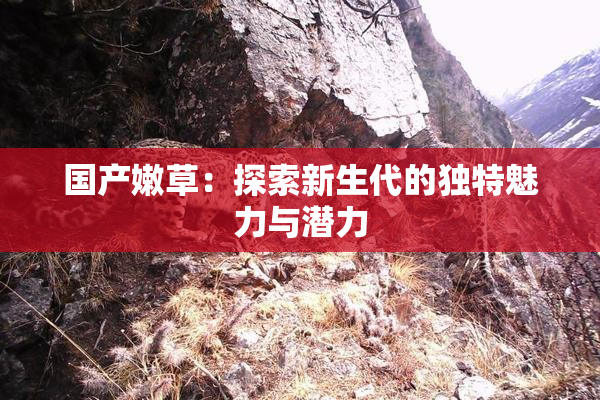 国产嫩草：探索新生代的独特魅力与潜力