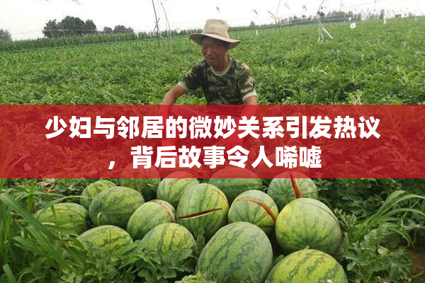 少妇与邻居的微妙关系引发热议，背后故事令人唏嘘