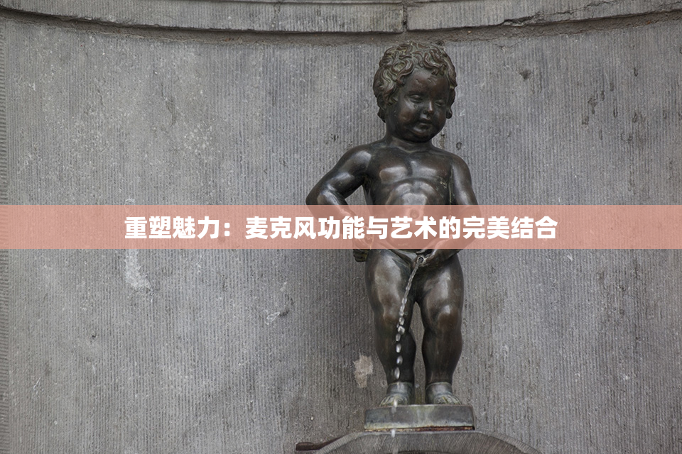 重塑魅力：麦克风功能与艺术的完美结合