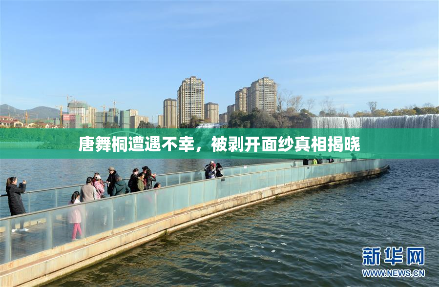 唐舞桐遭遇不幸，被剥开面纱真相揭晓