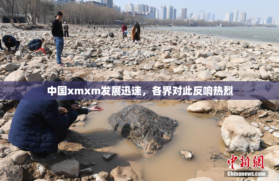 中国xmxm发展迅速，各界对此反响热烈