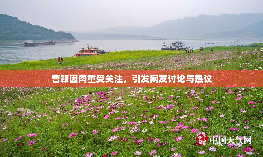 曹颖因肉重受关注，引发网友讨论与热议