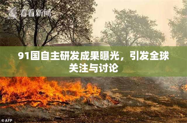 91国自主研发成果曝光，引发全球关注与讨论