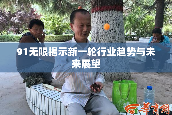 91无限揭示新一轮行业趋势与未来展望