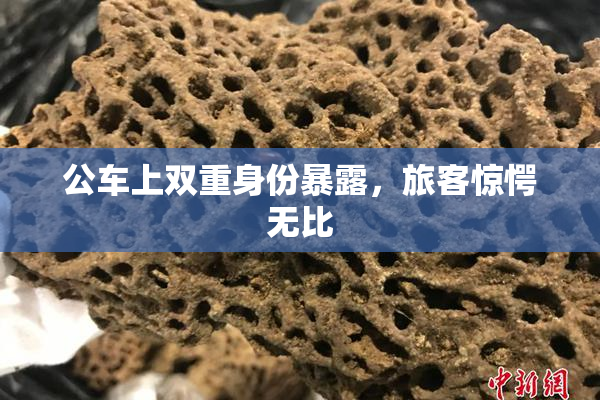 公车上双重身份暴露，旅客惊愕无比