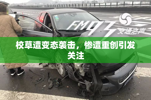 校草遭变态袭击，惨遭重创引发关注