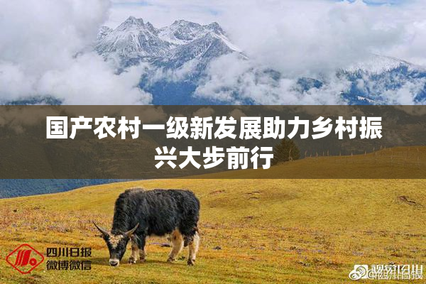 国产农村一级新发展助力乡村振兴大步前行
