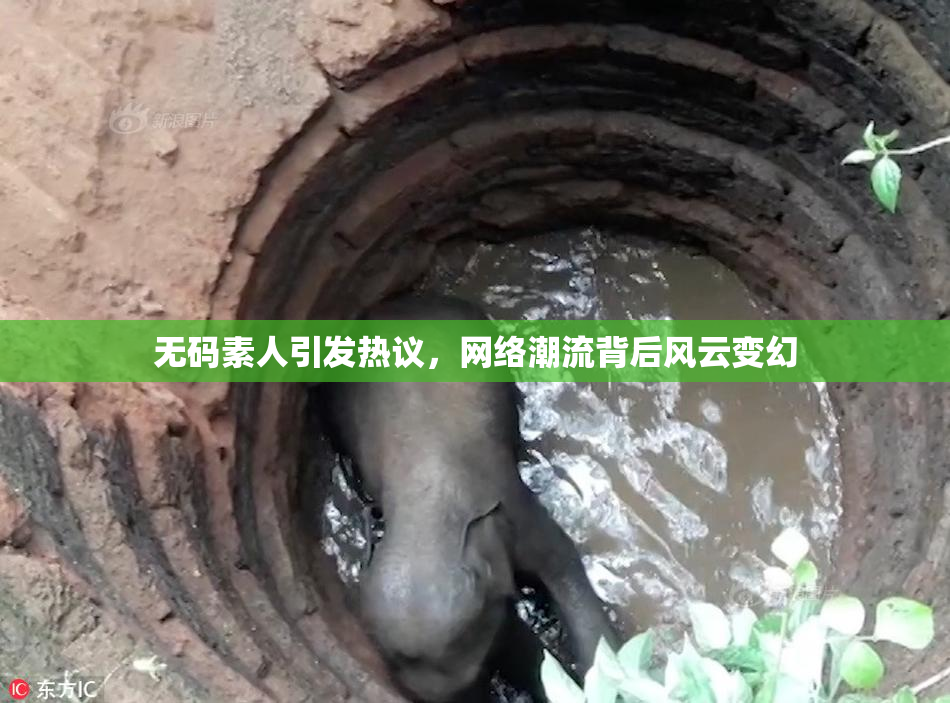 无码素人引发热议，网络潮流背后风云变幻
