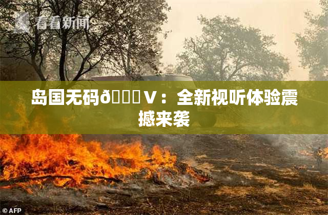 岛国无码🈚Ⅴ：全新视听体验震撼来袭