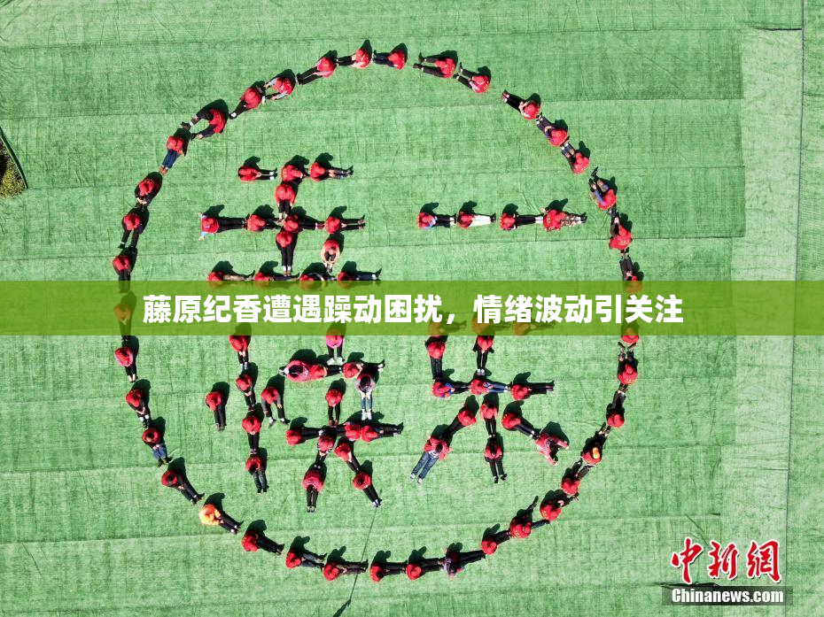 藤原纪香遭遇躁动困扰，情绪波动引关注