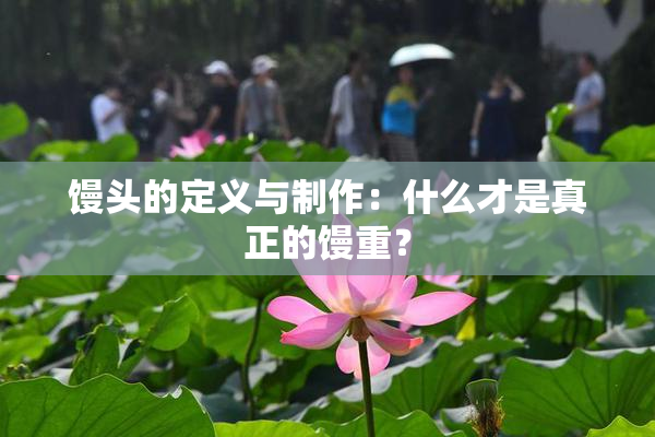 馒头的定义与制作：什么才是真正的馒重？