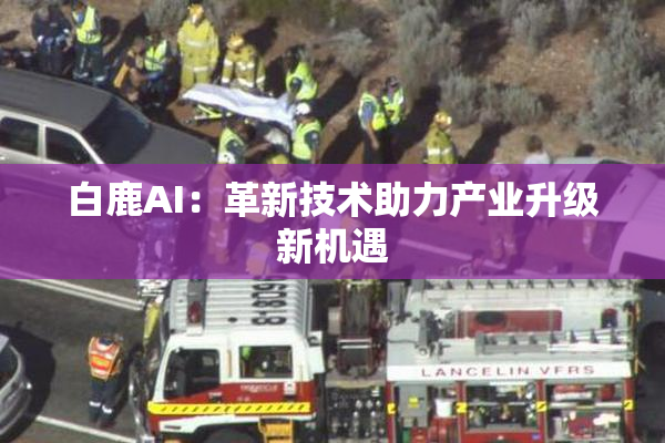 白鹿AI：革新技术助力产业升级新机遇
