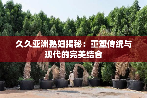 久久亚洲熟妇揭秘：重塑传统与现代的完美结合