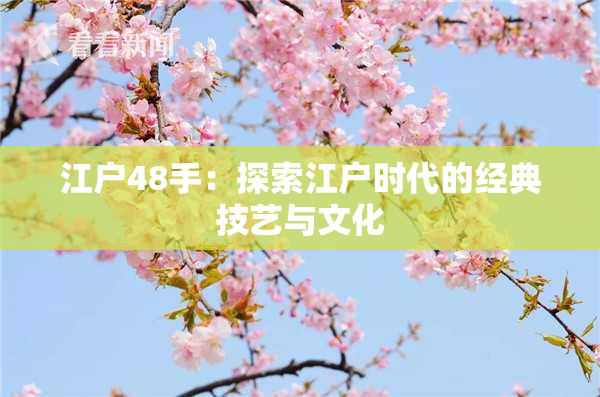 江户48手：探索江户时代的经典技艺与文化
