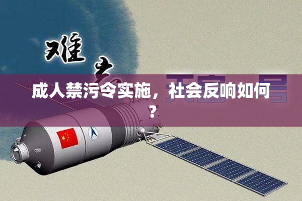 成人禁污令实施，社会反响如何？