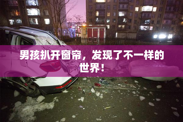 男孩扒开窗帘，发现了不一样的世界！
