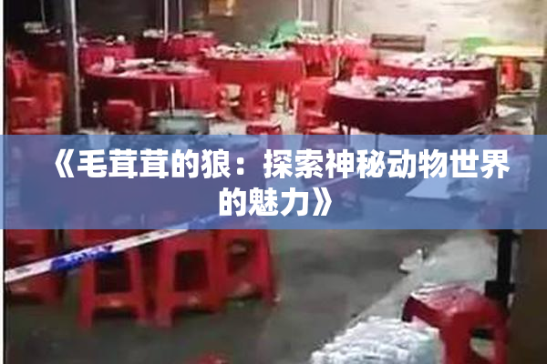 《毛茸茸的狼：探索神秘动物世界的魅力》