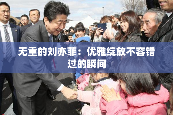 无重的刘亦菲：优雅绽放不容错过的瞬间