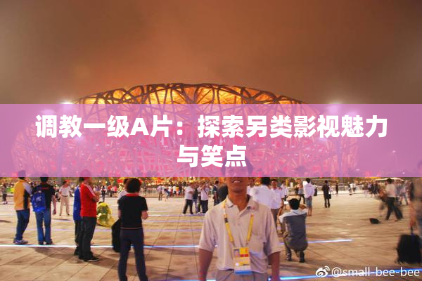 调教一级A片：探索另类影视魅力与笑点