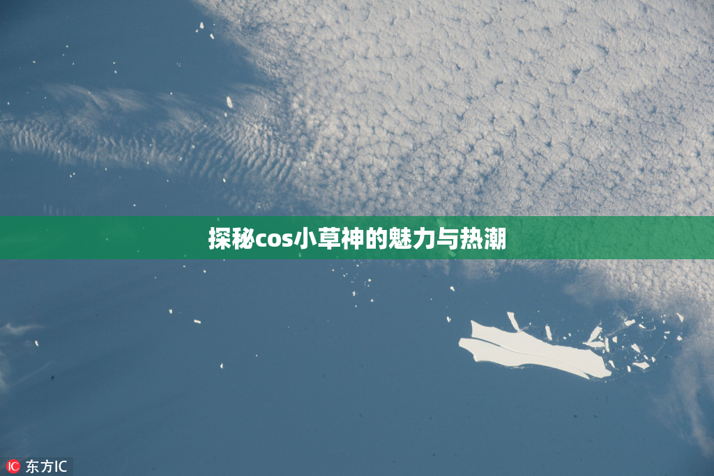 探秘cos小草神的魅力与热潮
