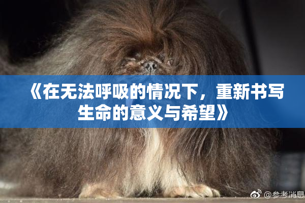 《在无法呼吸的情况下，重新书写生命的意义与希望》