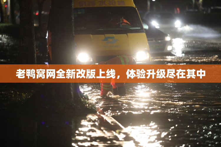 老鸭窝网全新改版上线，体验升级尽在其中
