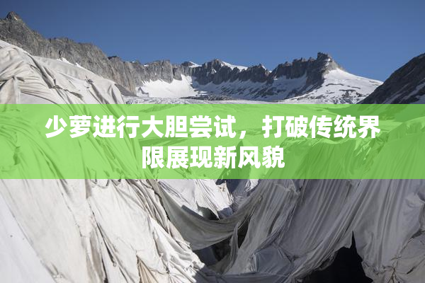 少萝进行大胆尝试，打破传统界限展现新风貌