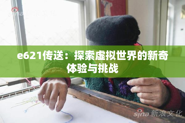 e621传送：探索虚拟世界的新奇体验与挑战