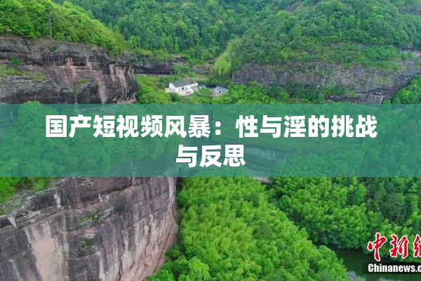 国产短视频风暴：性与淫的挑战与反思