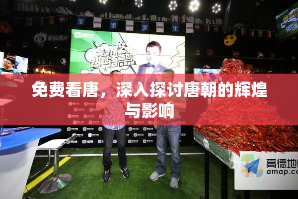 免费看唐，深入探讨唐朝的辉煌与影响