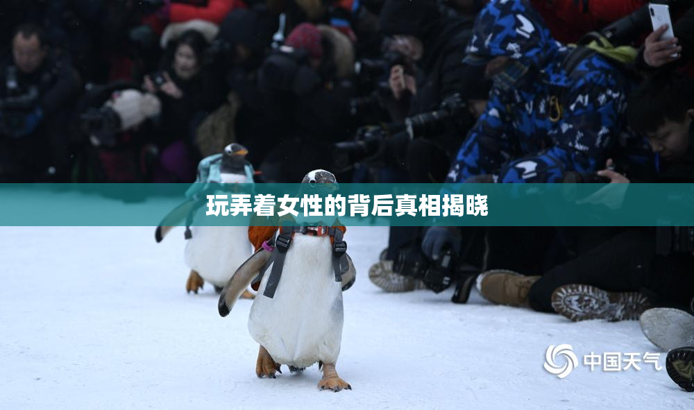 玩弄着女性的背后真相揭晓