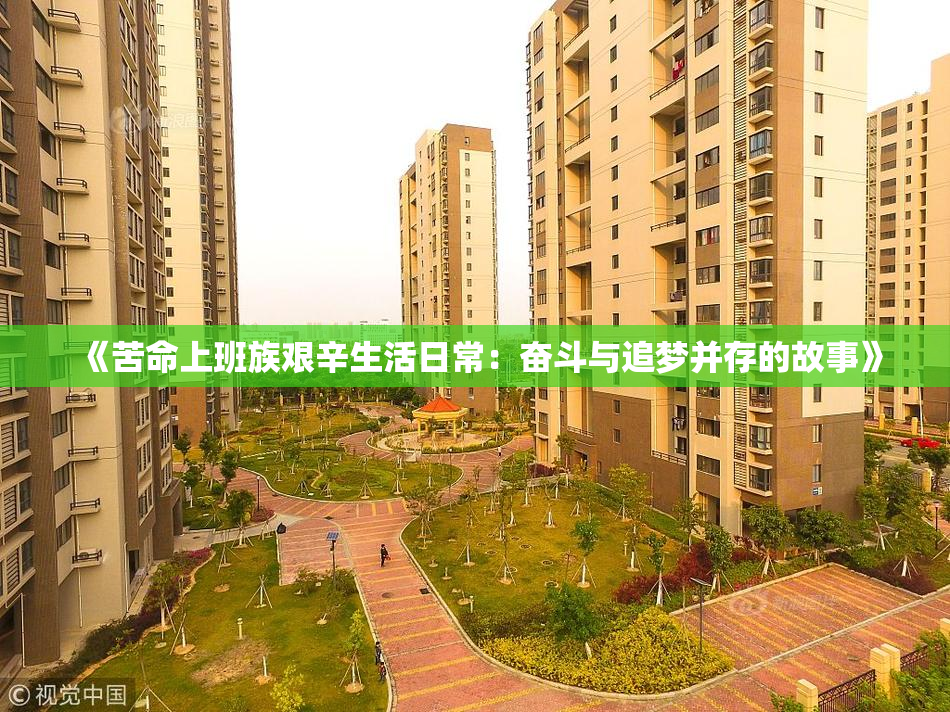 《苦命上班族艰辛生活日常：奋斗与追梦并存的故事》
