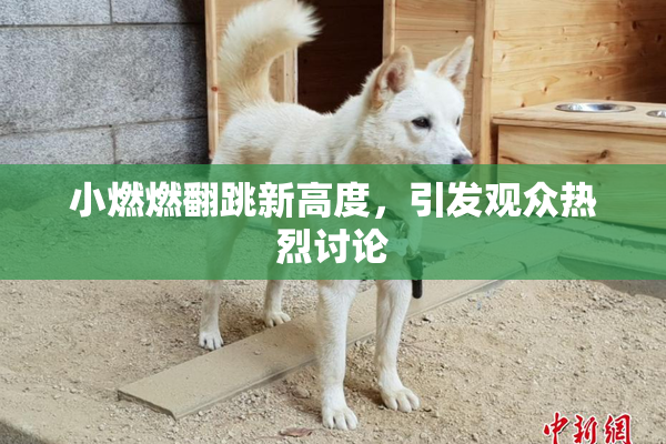 小燃燃翻跳新高度，引发观众热烈讨论