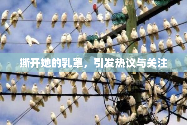撕开她的乳罩，引发热议与关注