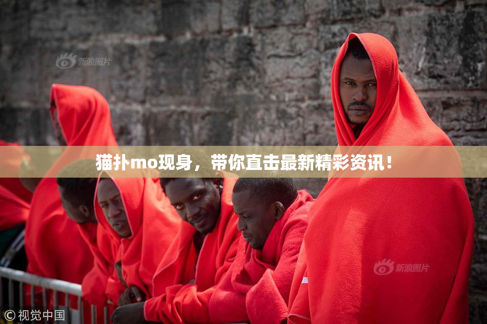 猫扑mo现身，带你直击最新精彩资讯！
