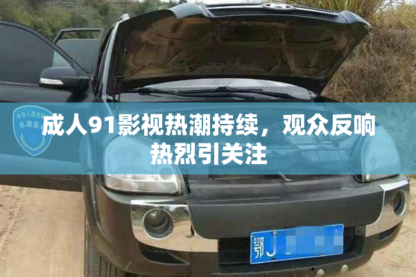 成人91影视热潮持续，观众反响热烈引关注