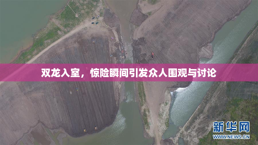 双龙入室，惊险瞬间引发众人围观与讨论