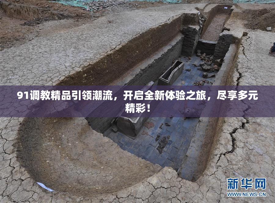 91调教精品引领潮流，开启全新体验之旅，尽享多元精彩！