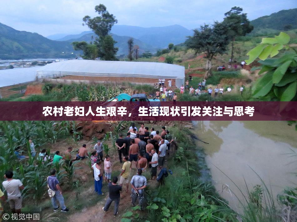 农村老妇人生艰辛，生活现状引发关注与思考