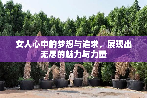 女人心中的梦想与追求，展现出无尽的魅力与力量