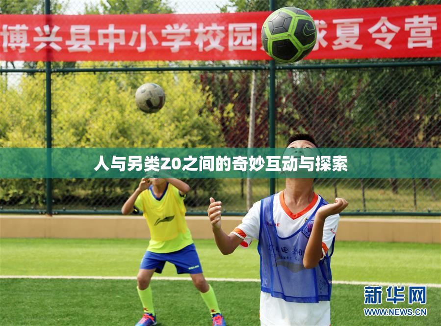 人与另类Z0之间的奇妙互动与探索