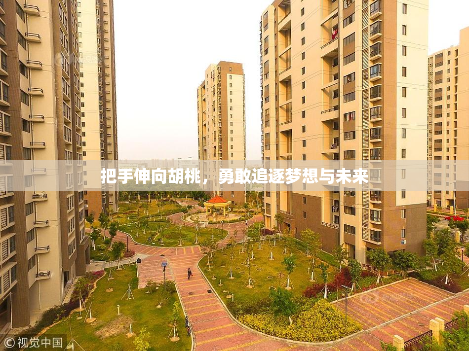 把手伸向胡桃，勇敢追逐梦想与未来
