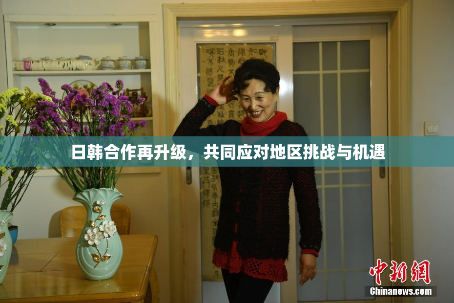日韩合作再升级，共同应对地区挑战与机遇
